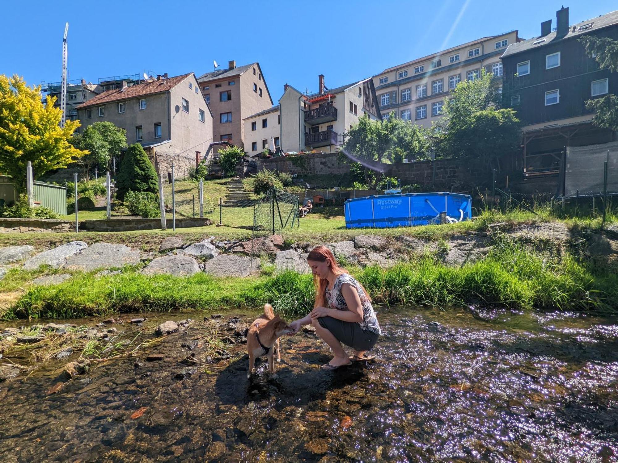 Ferienwohnung Gemütliche Urlaubsoase mit Pool, Sauna&Terrasse - UO Sebnitz Exterior foto