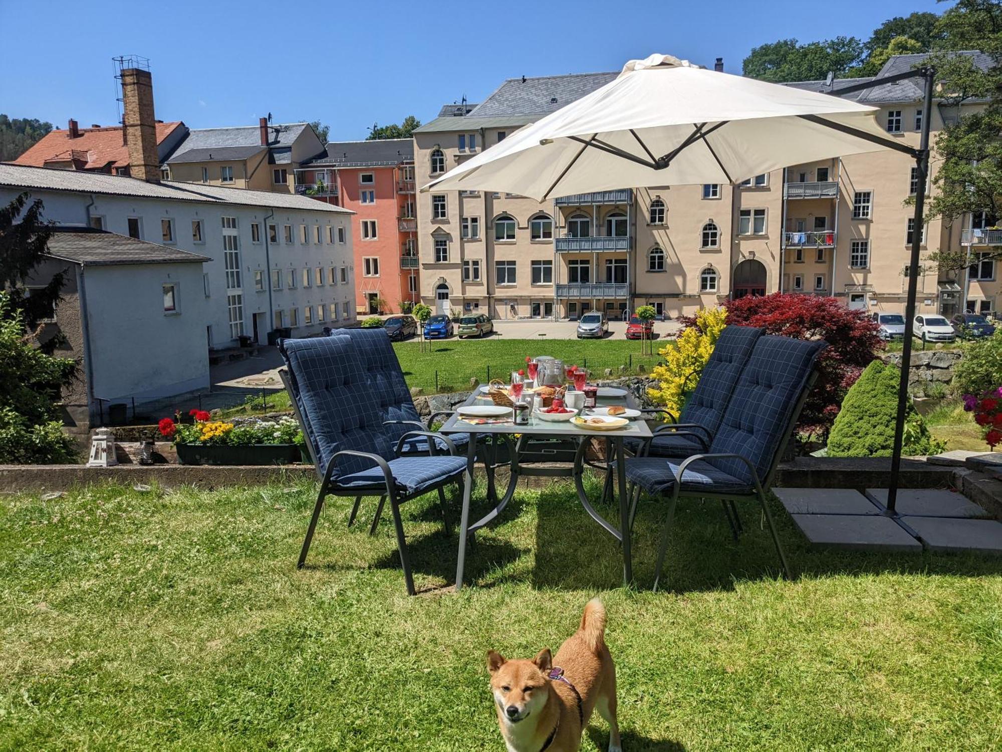 Ferienwohnung Gemütliche Urlaubsoase mit Pool, Sauna&Terrasse - UO Sebnitz Exterior foto