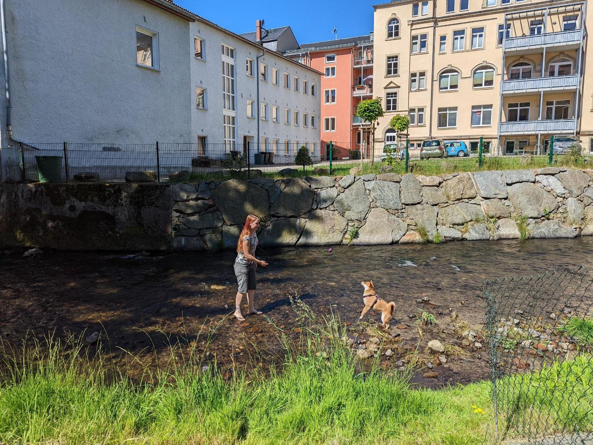 Ferienwohnung Gemütliche Urlaubsoase mit Pool, Sauna&Terrasse - UO Sebnitz Exterior foto